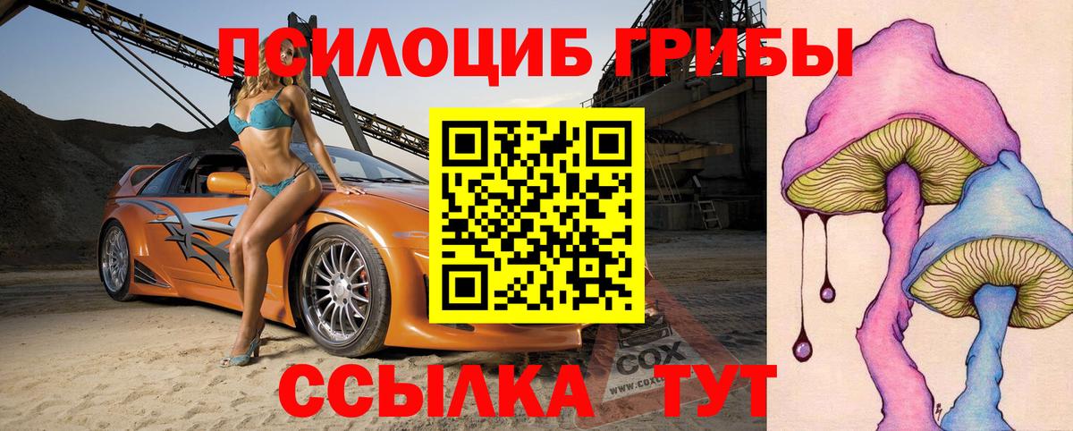 Псилоцибиновые грибы прущие грибы Асино